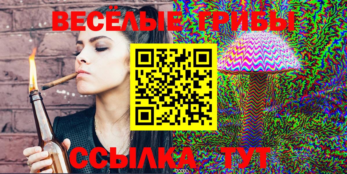 Солнечногорск  Псилоцибиновые грибы мухоморы  Галлюциногенные грибы GOLDEN TEACHER  купить закладку  Вход с VPN 
